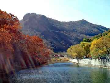 日韩脱丝袜视频在线观看，天狮空气净化器